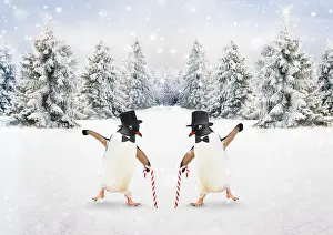 161118: Penguins dancing together in winter snow scene