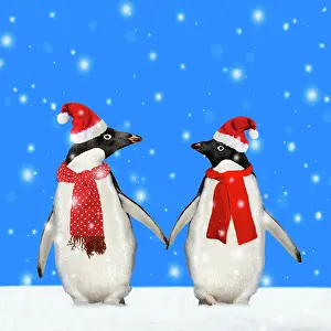 Falling: Penguins, holding hands wearing Christmas hats walking
