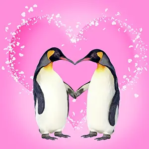 Flipper: Penguins, pair kissing holding hands creating heart shape