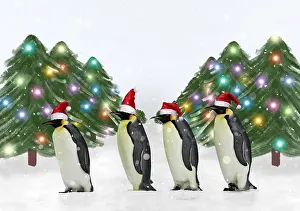 101019: Penguins wearing Christmas hats with Christmas