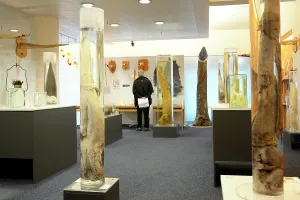 Penis: The Penis museum houses a large collection of animals