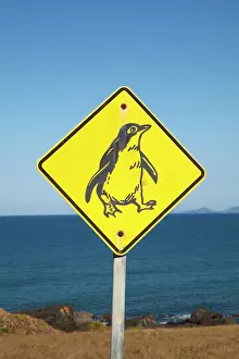 Representation: Penquin Warning Sign, Stanley, Northwest