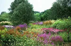 Designer: Pensthorpe gardens