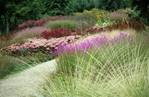 Designer: Pensthorpe gardens