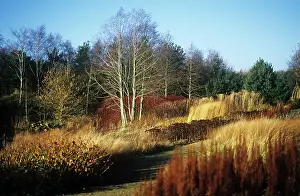 Layers: Pensthorpe gardens