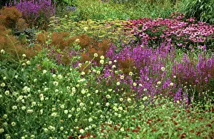 Designer: Pensthorpe gardens