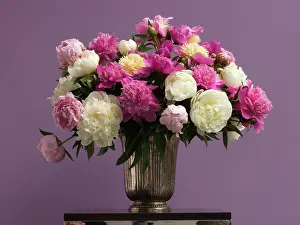 Paeonia: Peony