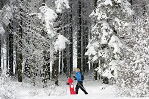Skiing: People cross-country skiing in snowy forest