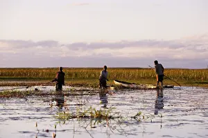Bangweuleu: People - fishing with nets in Bangweuleu Marsh
