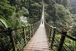 Suspension: People on suspension bridge, Sky ladder, Zushan