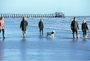 Piers: PEOPLE WALKING DOG ON BEACH