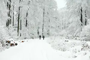 Footpaths: People walking along snow covered road between