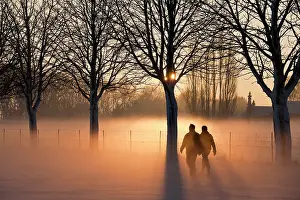 Sunray: Two people walking at sunset in the winter. Mist appears abo