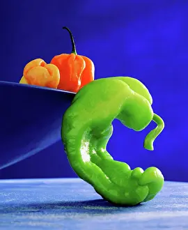 Detached: Pepper
