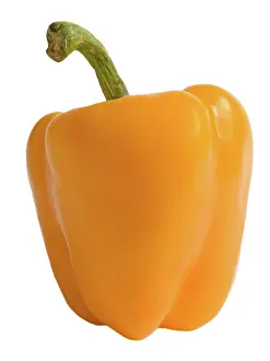 Peppers: Pepper - orange - in studio