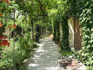 Pergola: Pergola in summer, Provence, France