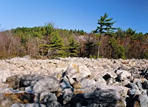 Appalachian: Periglacial Boulder Field
