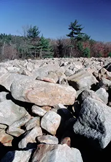 Patch: Periglacial Boulder Field
