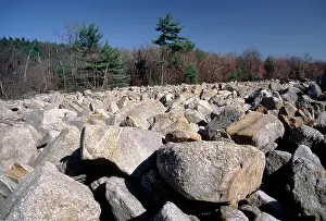 Patch: Periglacial Boulder Field