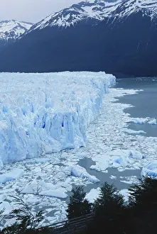 Moreno: Perito Moreno Glacier