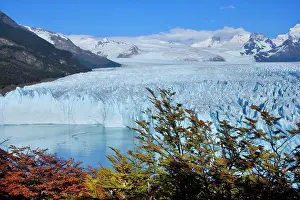 Moreno: Perito Moreno Glacier - face of glacier and Lago