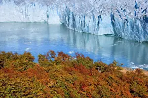 Moreno: Perito Moreno Glacier - face of glacier and Lago