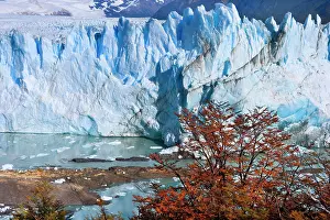 Moreno: Perito Moreno Glacier - face of glacier and Lago