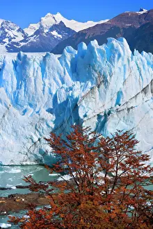 Moreno: Perito Moreno Glacier - face of glacier and Lago