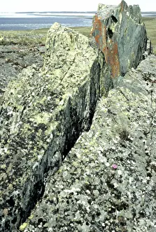 Permafrost: Permafrost frost heave