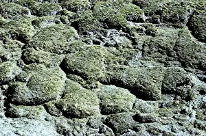 Permafrost: Permafrost solifluction