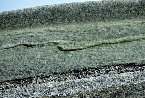 Permafrost: Permafrost solifluction