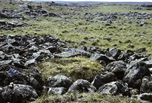 Sorted: Permafrost stone circle