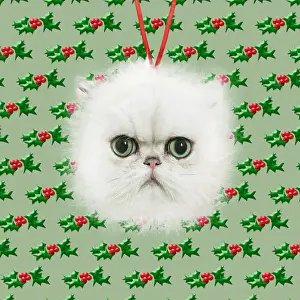 100817: Persian Cat, Christmas bauble with holly looking
