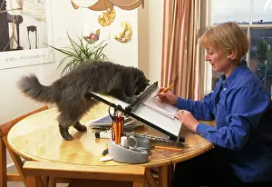 Owners: Persian Cat - curious about owner's activity