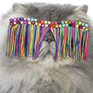Psychedelic: Persian Cat wearing tassel sunglasses
