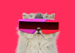 310320: Persian Tortoiseshell Cameo Cat, wearing futuristic