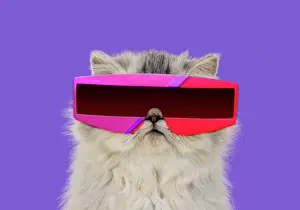 310320: Persian Tortoiseshell Cameo Cat, wearing futuristic