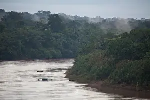Ecotourists: One person drives a boat for ecotourists on the Tambopata Ri