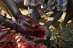 Connective: Person during the Pokot Sapana Ceremony Kenya