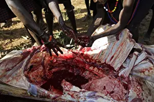 Connective: Person during the Pokot Sapana Ceremony Kenya