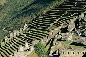 Machu: PERU - Agriculture terraces, Machu Picchu