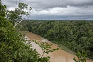 Piedras: PERU. Amazon rain forest, river Las Piedras, south