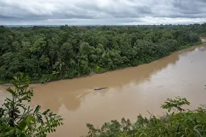 Piedras: PERU. Amazon rain forest, river Las Piedras, south
