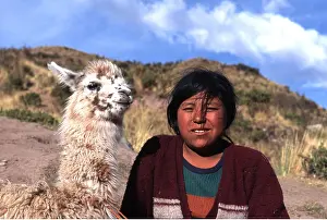 Llama: Peru - Indian girl and llama