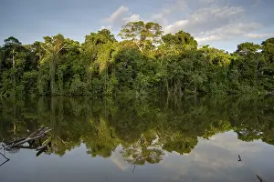 211218: PERU. Lake Sloledad, Amazon rain forest, south eastern