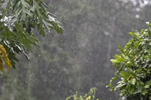 211218: PERU, rain in the amazon rain forest