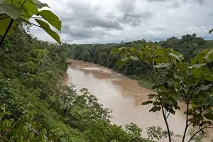 Piedras: PERU. River Las Piedras, south-eastern Peru Amazon