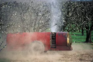 Pears: Pest Control