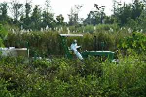 Pesticide: Pesticide