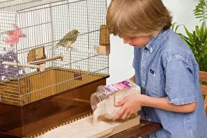 Preparing: Pet care - young boy preparing cage for canary